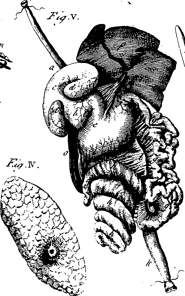 064/064730010202310_0.png