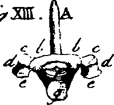 064/064730010302790_0.png