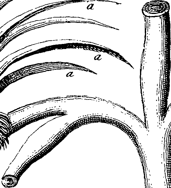 064/064730010303560_0.png