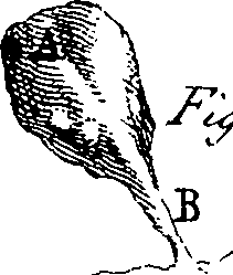 064/064730010304450_0.png
