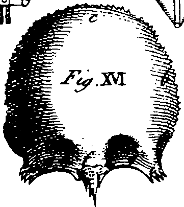 064/064730010304660_0.png