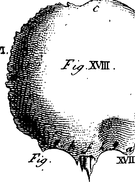 064/064730010304660_1.png