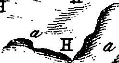064/064730010305250_1.png