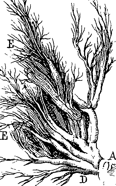 064/064730010400040_1.png