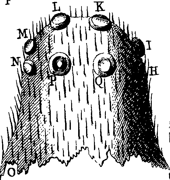 064/064730010400310_1.png