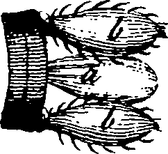 064/064730010402270_0.png