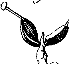 064/064730010402520_1.png