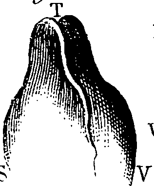 064/064730010402520_2.png