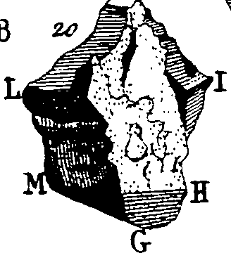 064/064730010402870_1.png