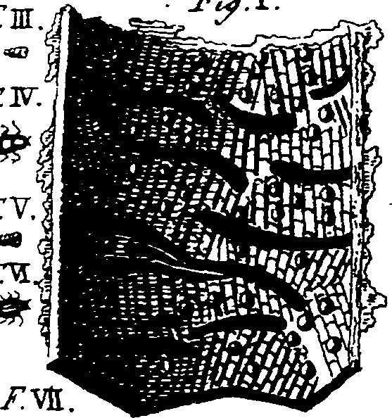 064/064730010404120_2.png