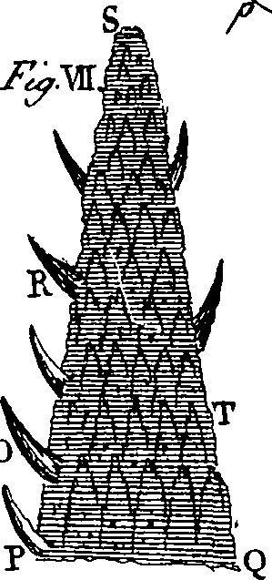 064/064730010501750_0.png