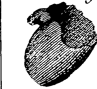 064/064730010502420_0.png