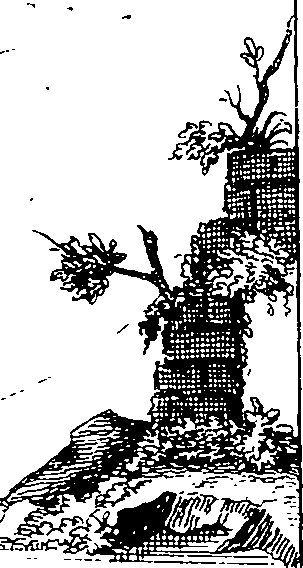 064/064730010502420_1.png