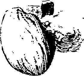 064/064730010502420_2.png