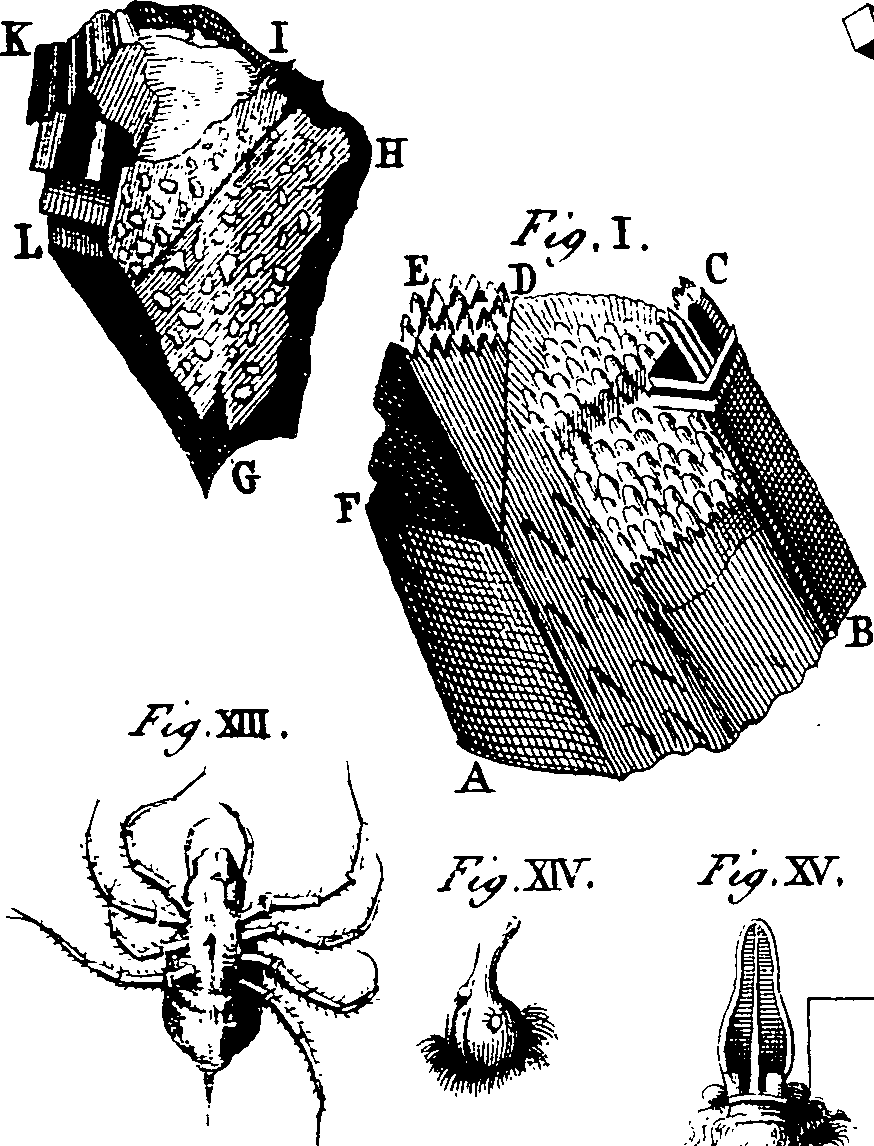 064/064730010502420_3.png