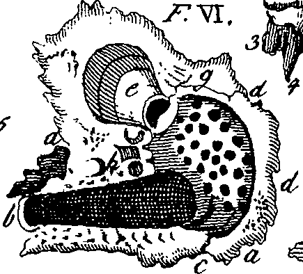 064/064730010502480_2.png