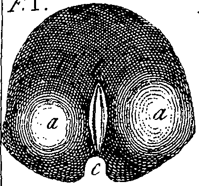 064/064730010502480_3.png