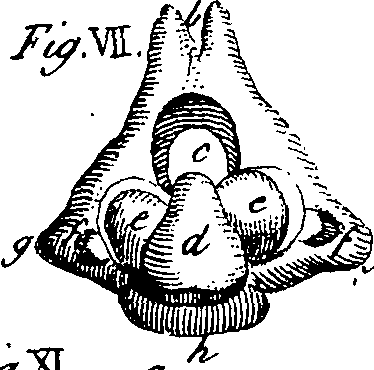 064/064730010502490_1.png