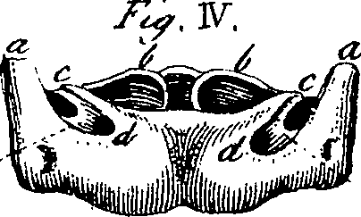 064/064730010502490_3.png