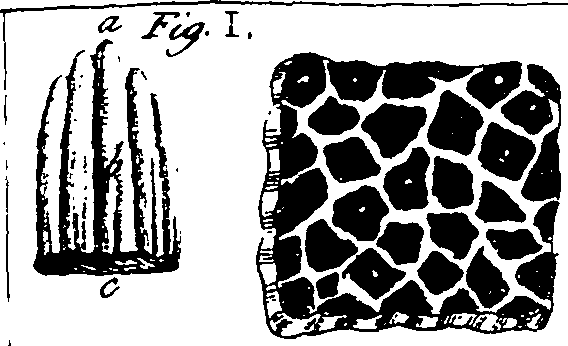 064/064730010502490_4.png