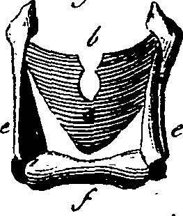 064/064730010503900_0.png