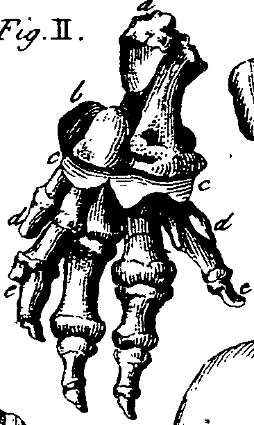 064/064730010503900_2.png