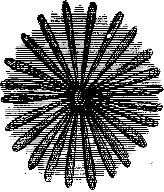 064/064730010505120_0.png