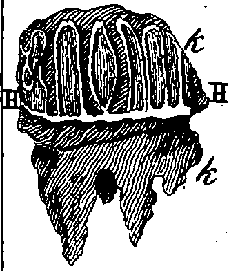 064/064740010601910_0.png