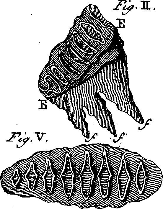 064/064740010601910_2.png