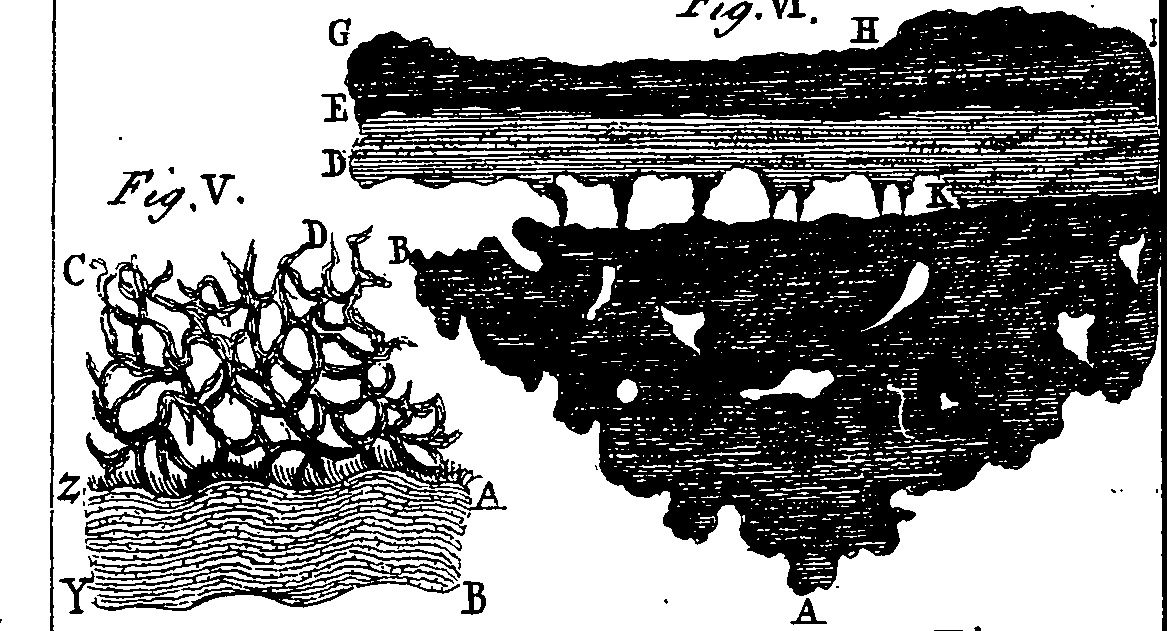 064/064740010700820_1.png