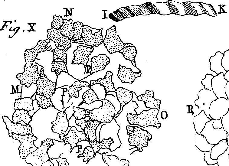 064/064740010700970_0.png