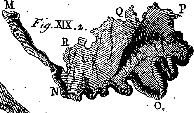 064/064740010701360_1.png