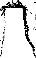 064/064740010702750_0.png