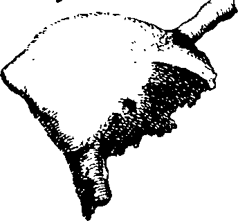 064/064740010702750_2.png
