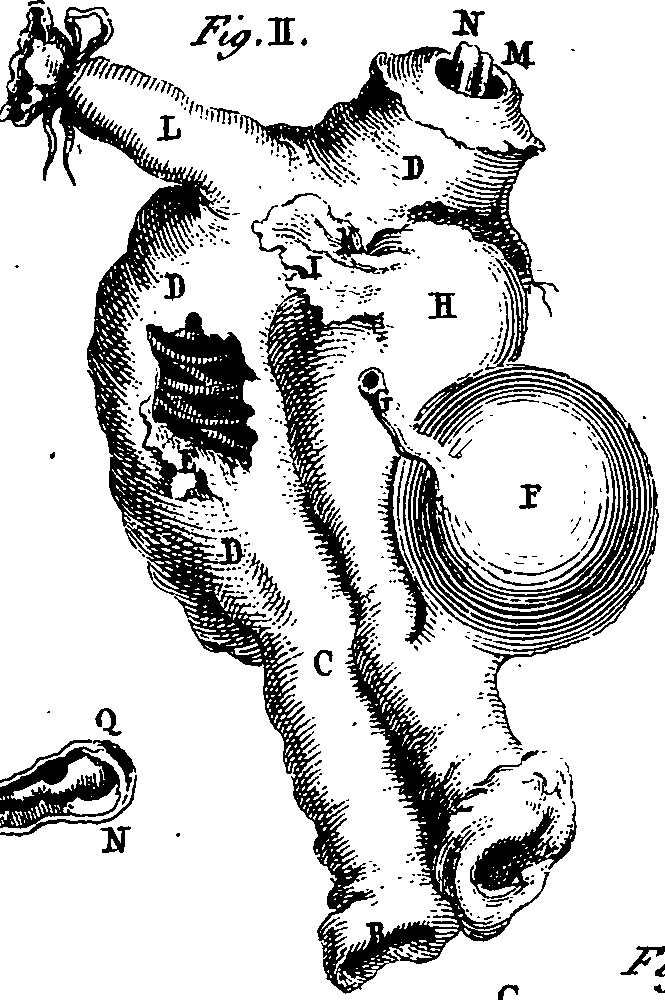 064/064740010703100_1.png