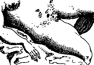 064/064740010703270_0.png