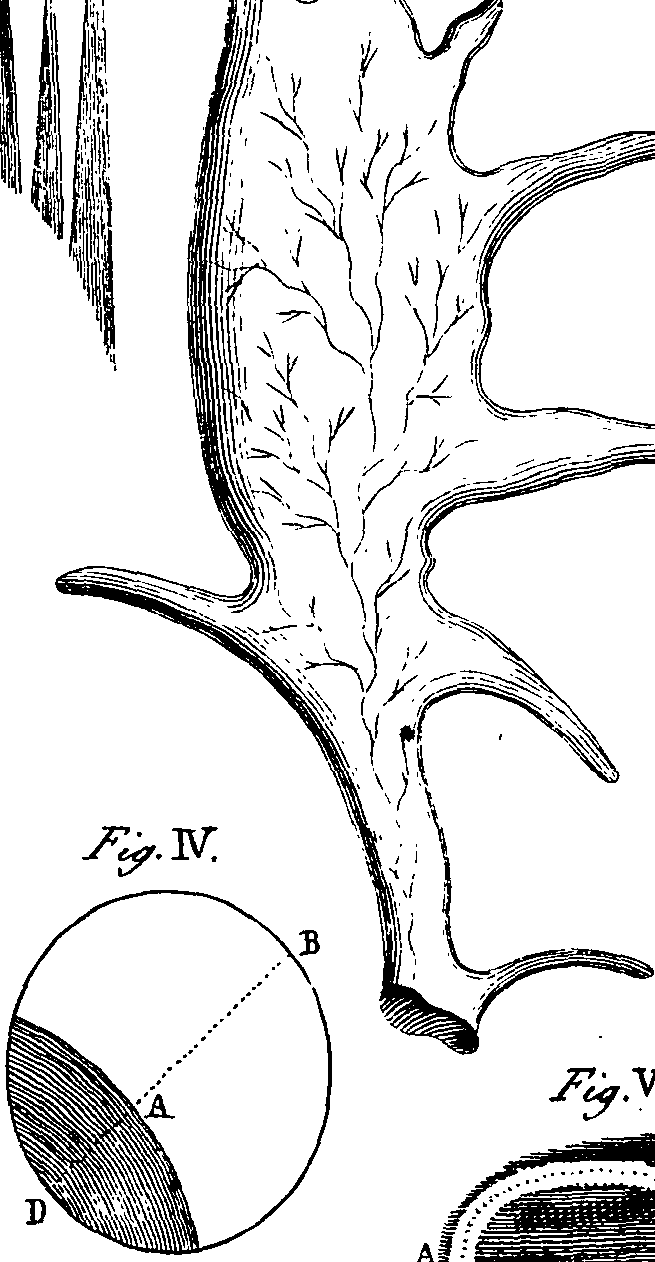 064/064740010801490_0.png