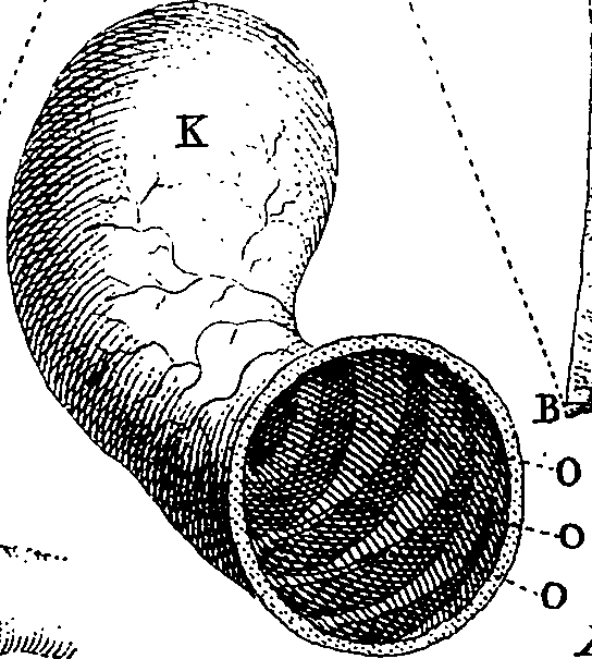 064/064740010801880_0.png