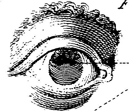 064/064740010803150_0.png