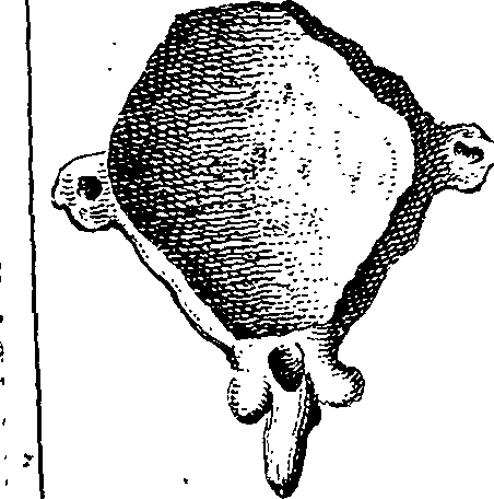 064/064740010803670_1.png