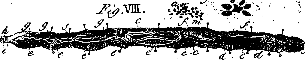 064/064740010900450_1.png