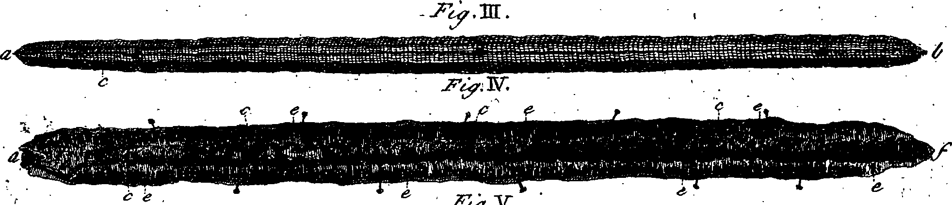 064/064740010900450_3.png
