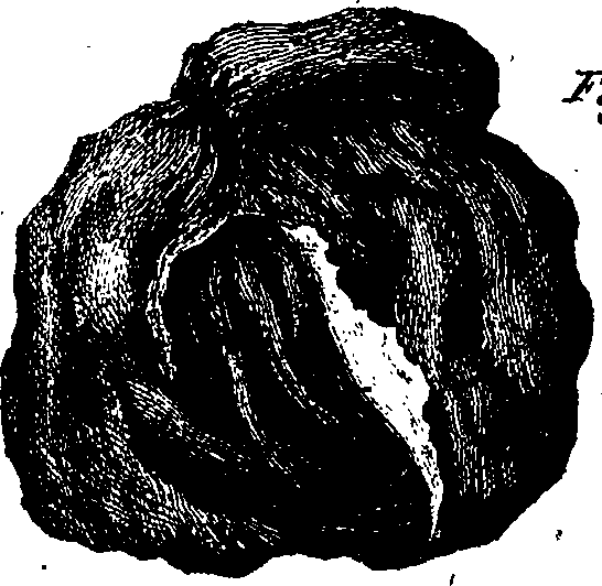064/064740010900450_5.png