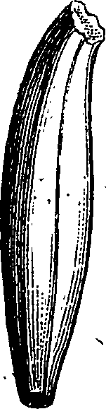 064/064740010900610_0.png