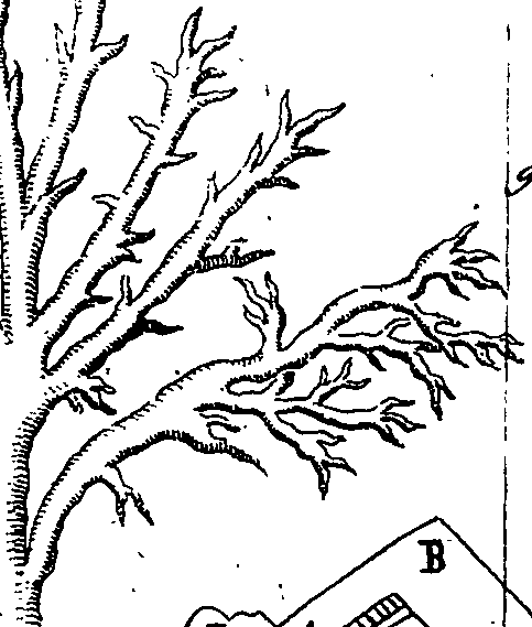 064/064740010901430_1.png