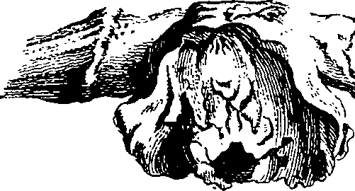 064/064740010903230_0.png
