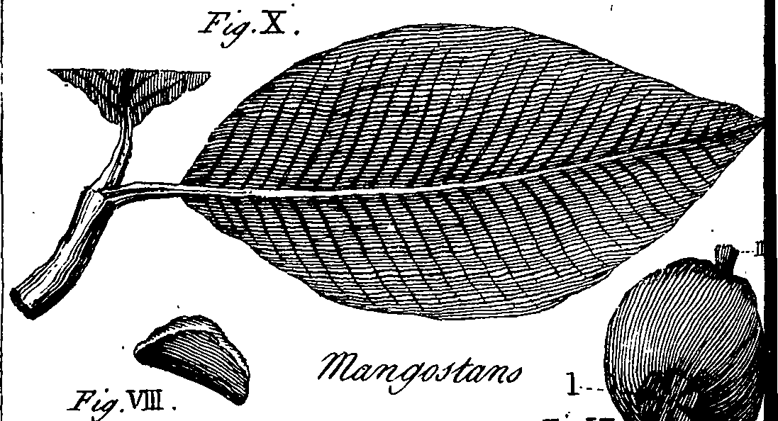 064/064740010904760_0.png