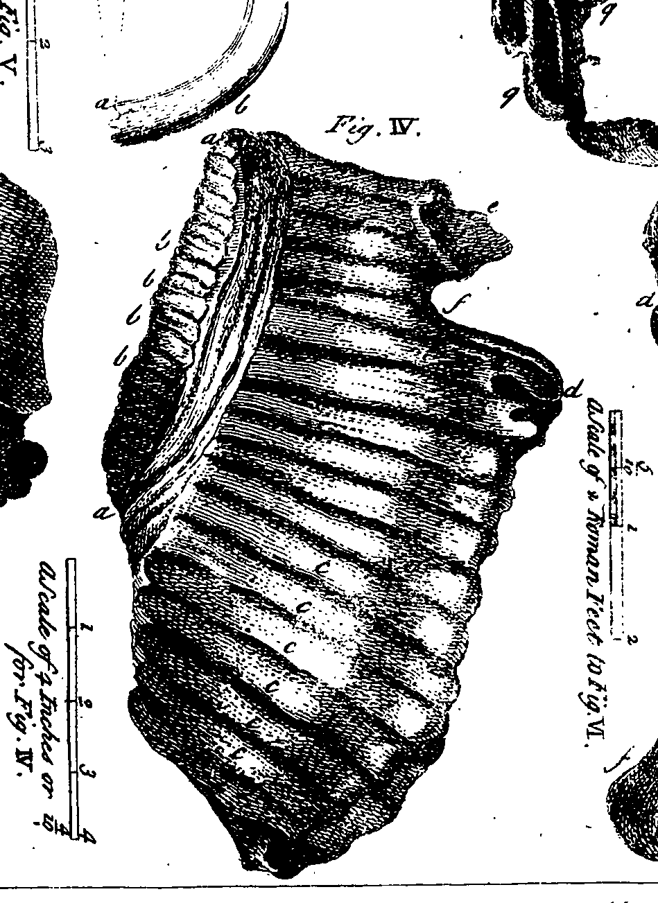 064/064740011002290_0.png