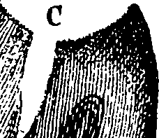 064/064740011003480_1.png