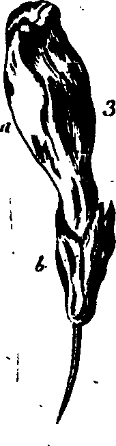 064/064750020003770_0.png